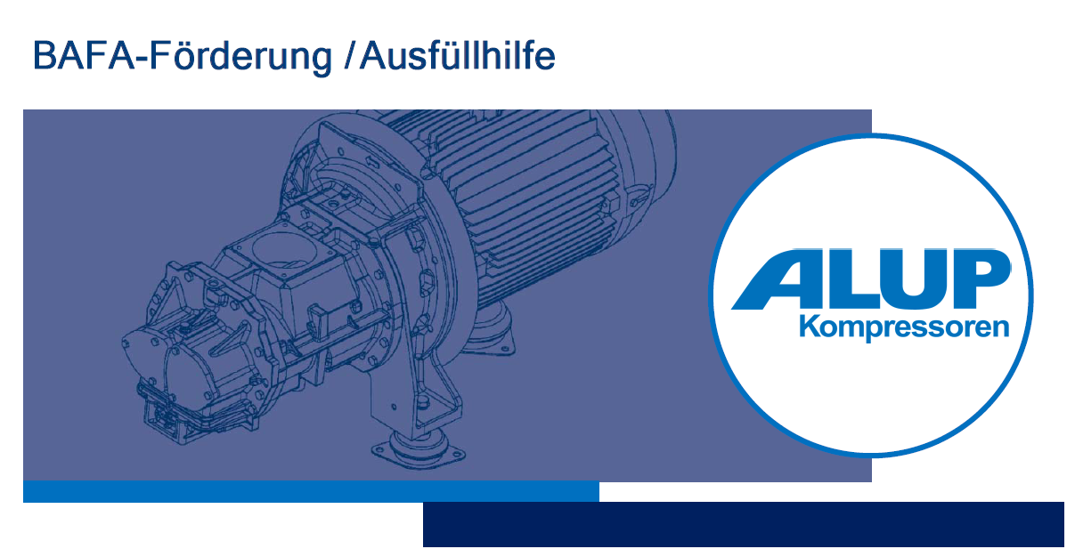 Ausfüllhilfe für Antrag BAFA
